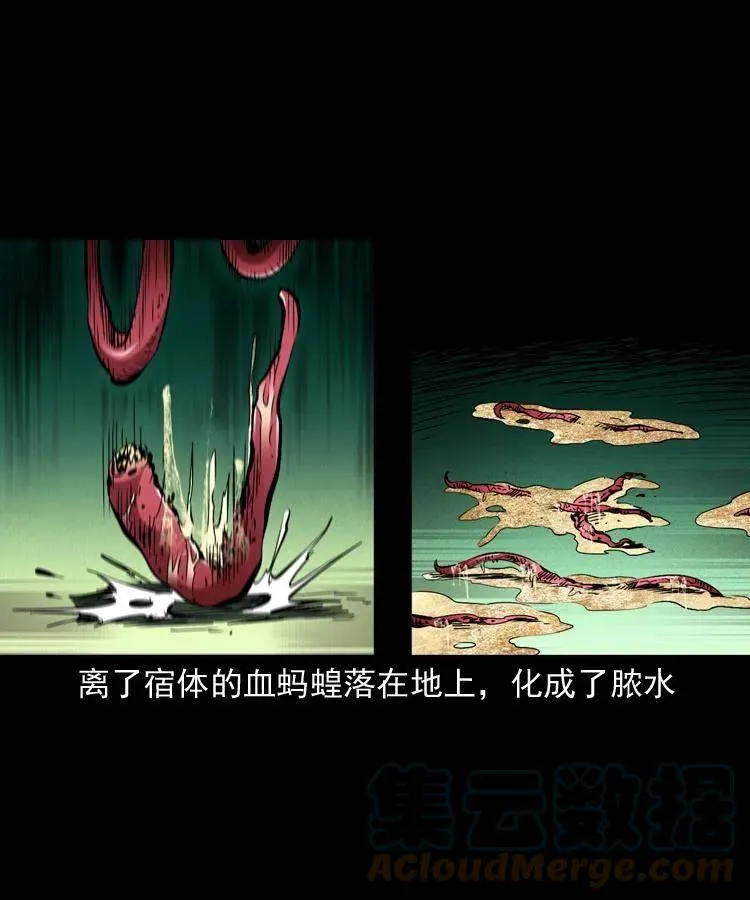 一百四十七话 吸血蚂蟥 第61页