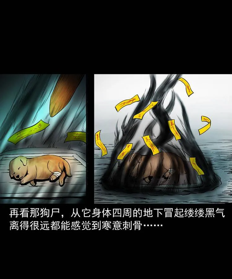 第十七话 青囊尸典 第34页