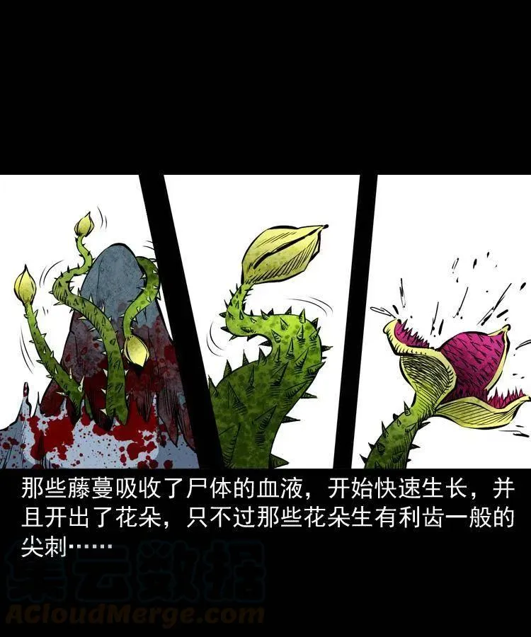 二十八话 断魂桥 第53页