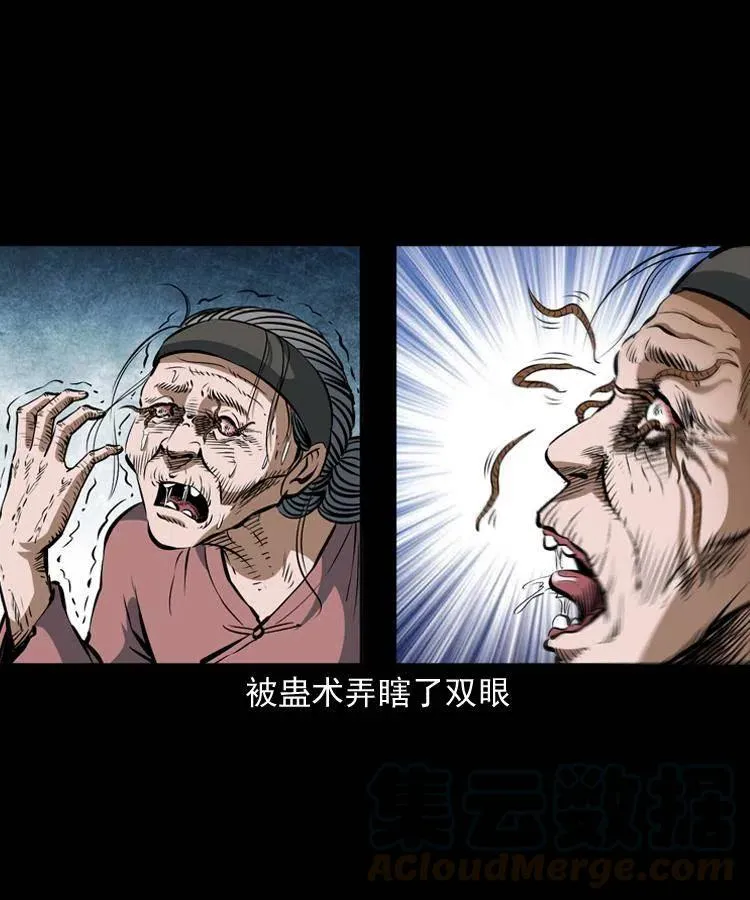 四十二话 苗疆蛊王 第13页
