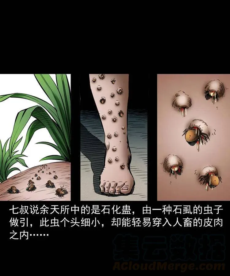 四十二话 苗疆蛊王 第29页