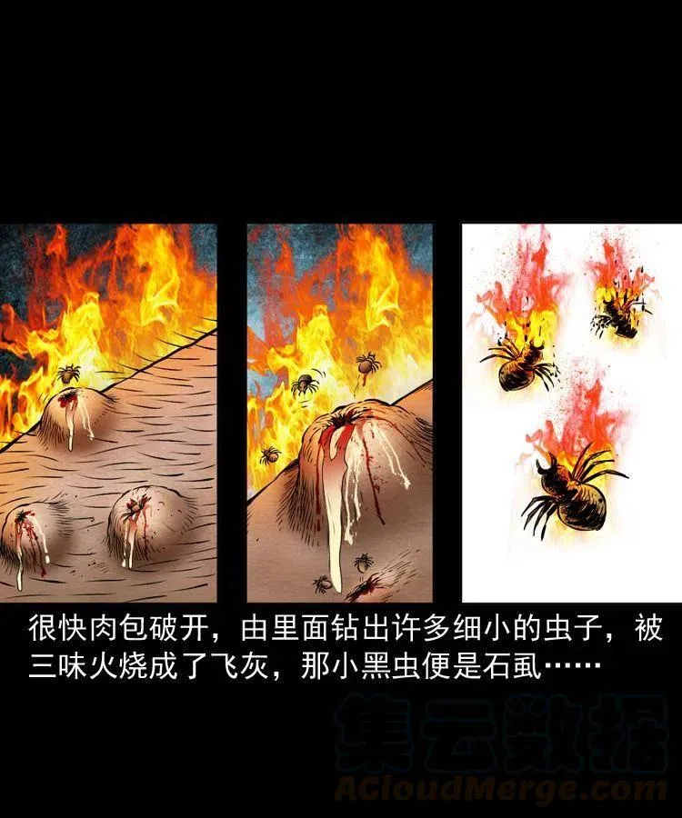 四十二话 苗疆蛊王 第45页