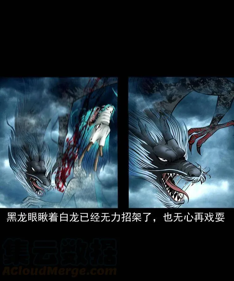 四十四话 冤家路窄 第29页