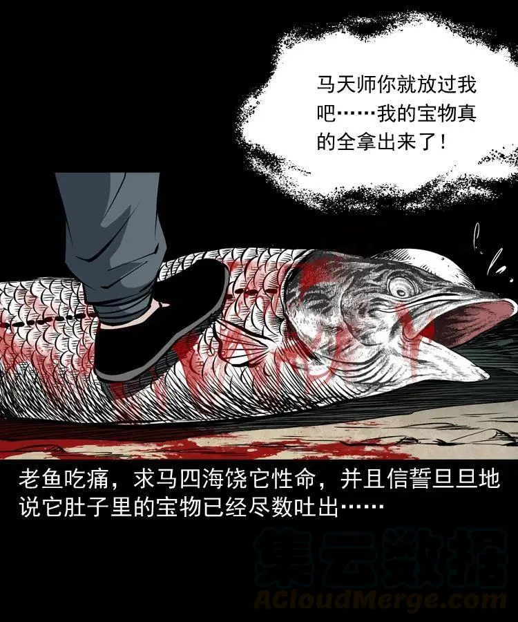 四十五话 老鱼献宝 第25页