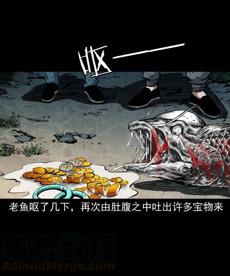 四十五话 老鱼献宝 第29页