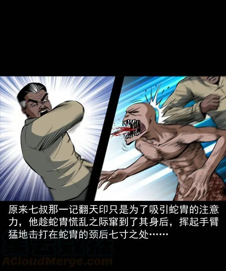 四十八话 幕后黑手 第53页
