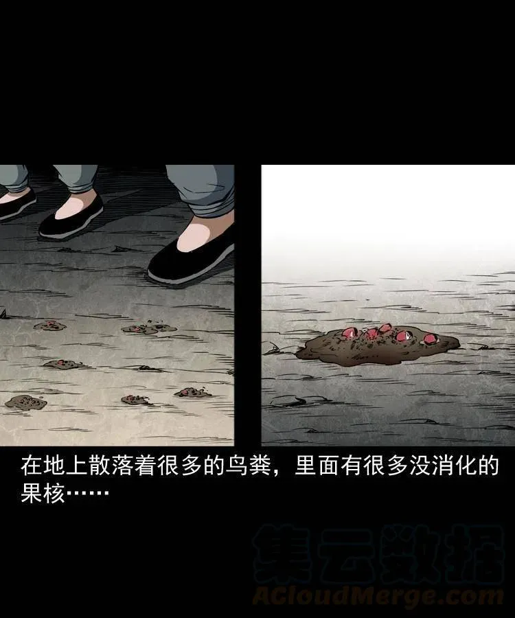五十一话 保命仙草 第45页