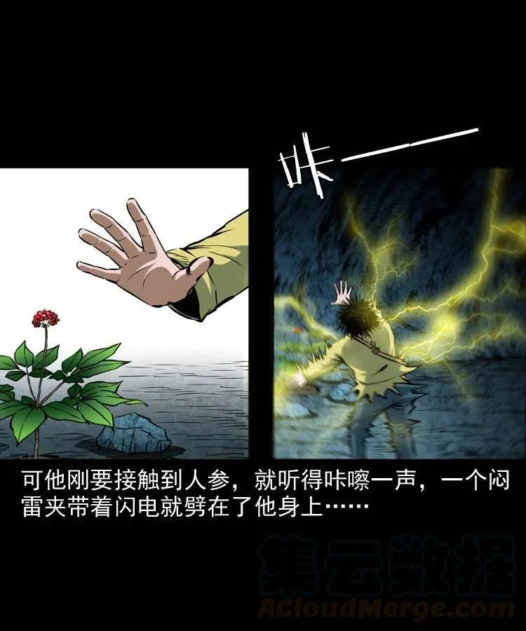 五十二话 人参娃娃 第49页
