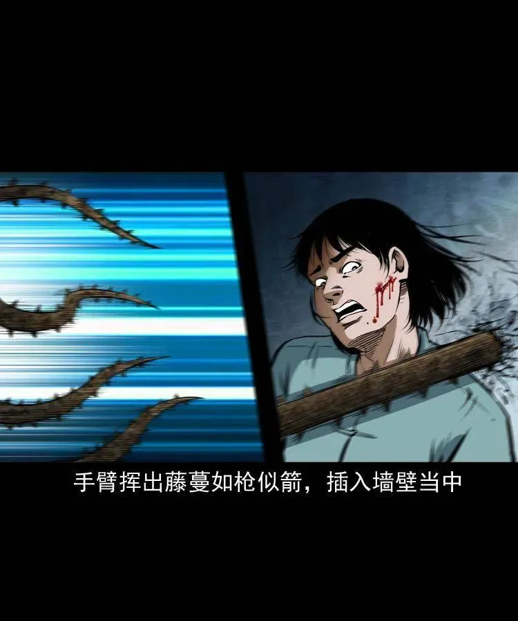 五十六话 马四海捉妖 第44页