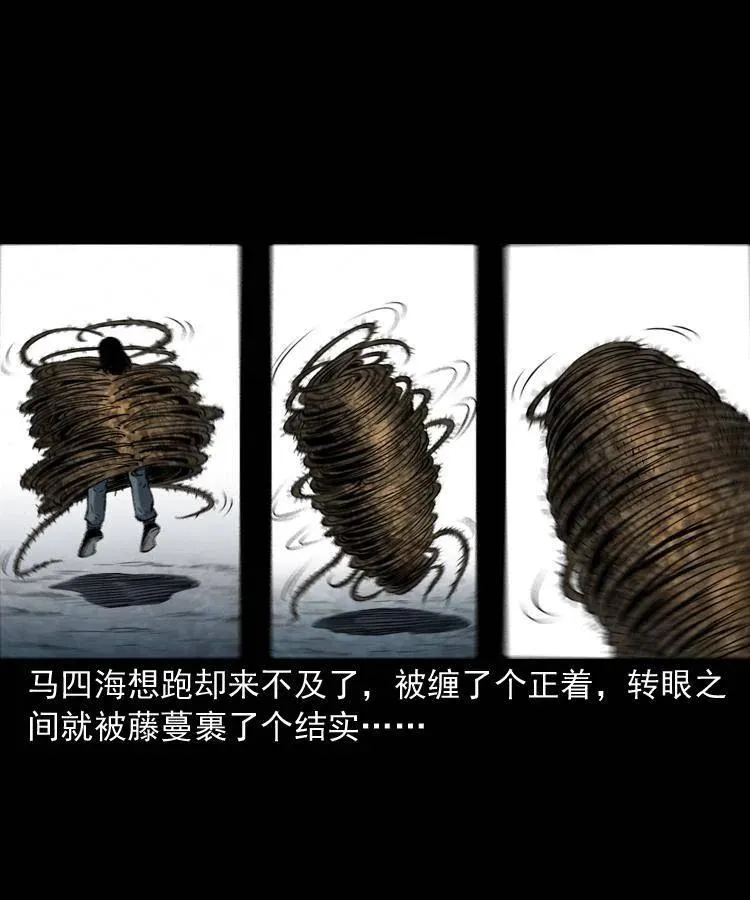 五十六话 马四海捉妖 第50页