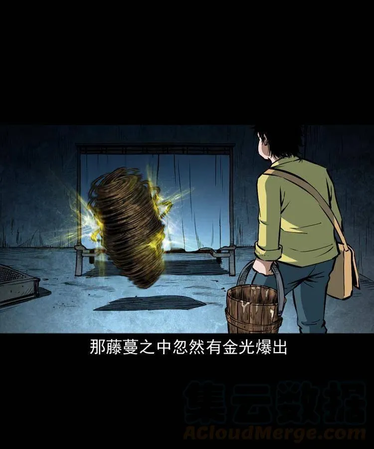 五十七话 让死人说话 第13页