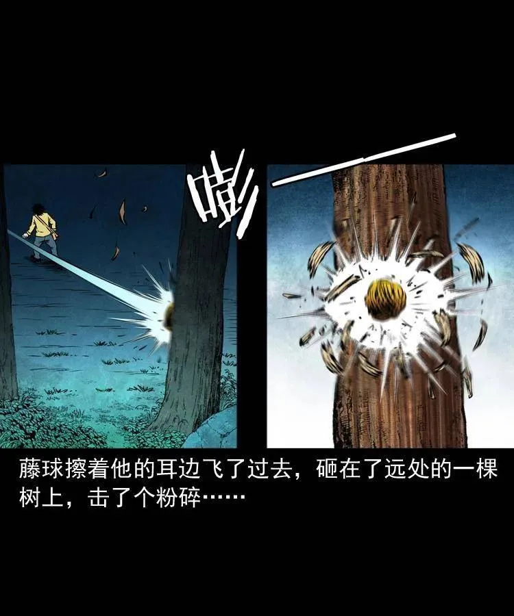 六十七话 炼婴术 第51页