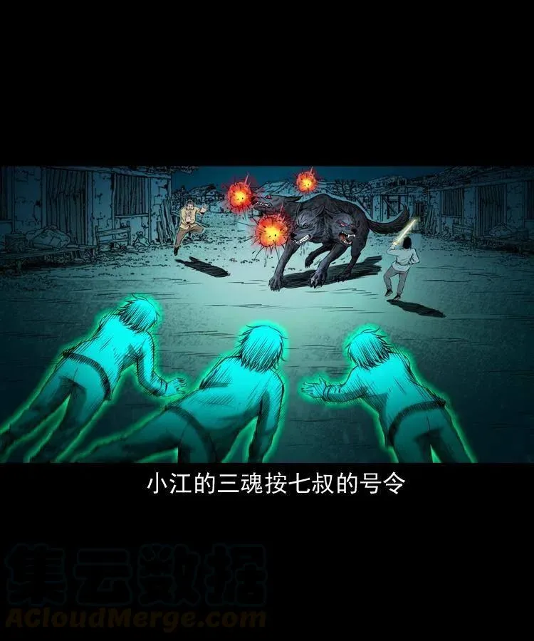 七十七话 金鸡山 第13页