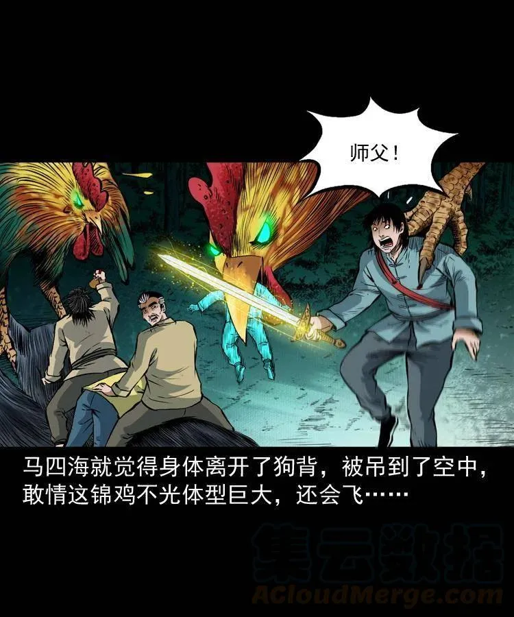 七十七话 金鸡山 第41页