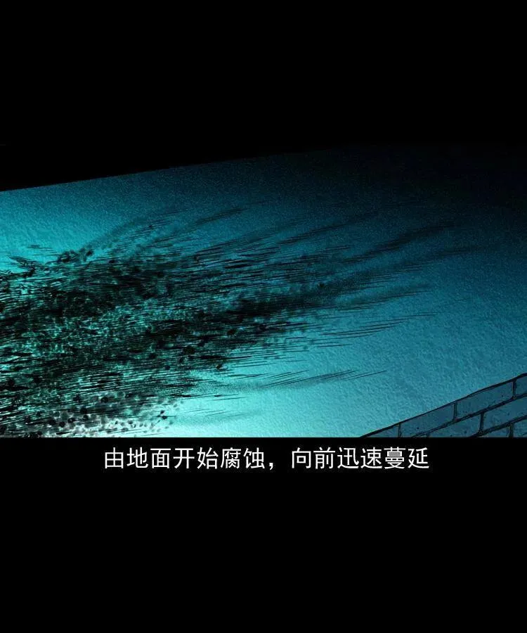 八十一话 马四海的身份 第48页