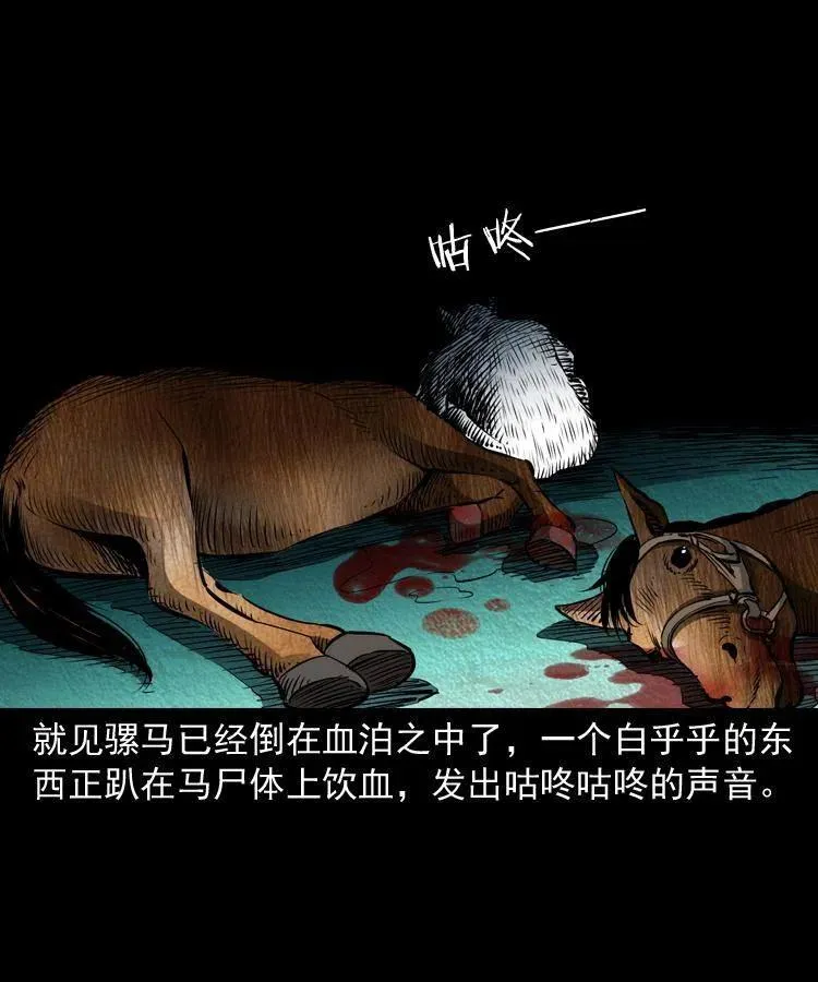 八十八话 白毛妖怪 第14页