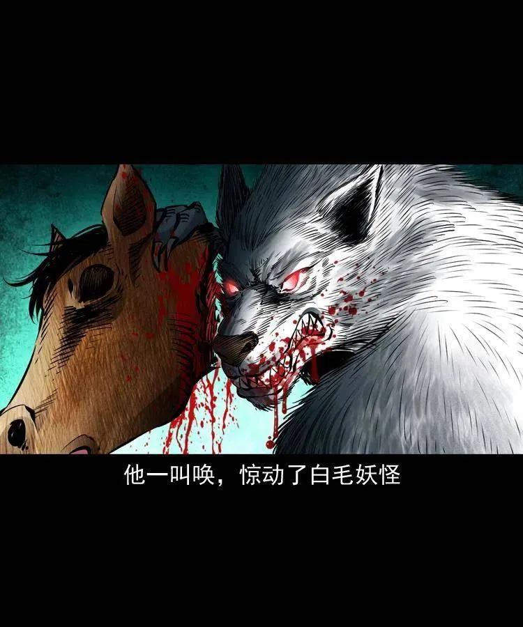 八十八话 白毛妖怪 第16页