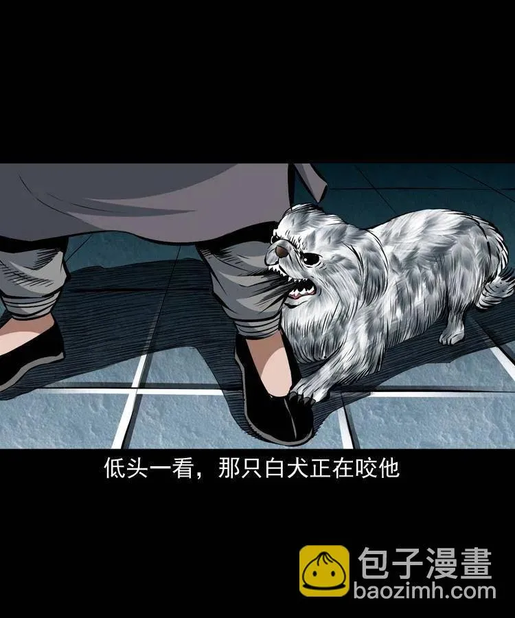 八十九话 降白妖 第23页