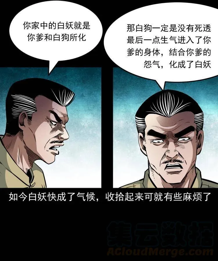 八十九话 降白妖 第33页