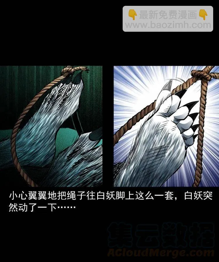 八十九话 降白妖 第53页