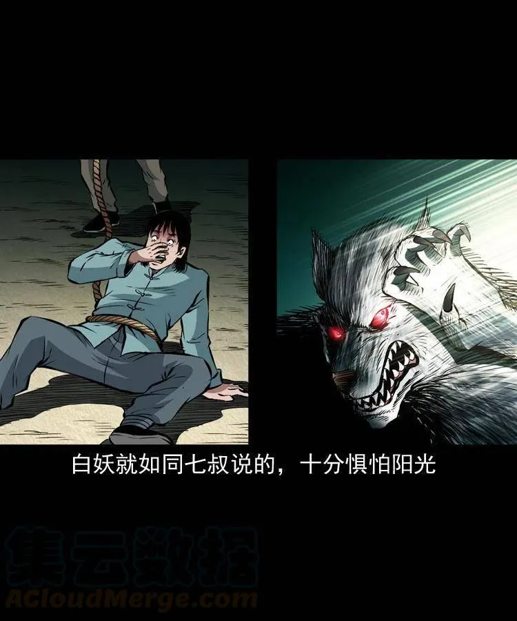 八十九话 降白妖 第61页