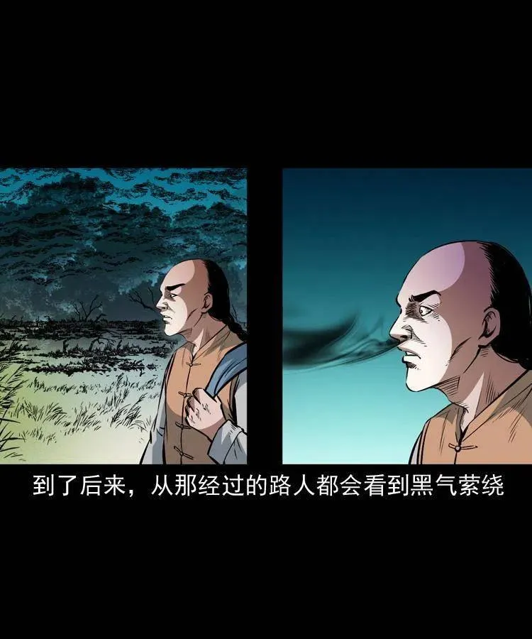 一百零四章 镇魂庙 第51页