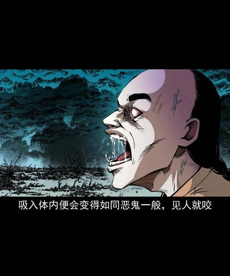 一百零四章 镇魂庙 第52页