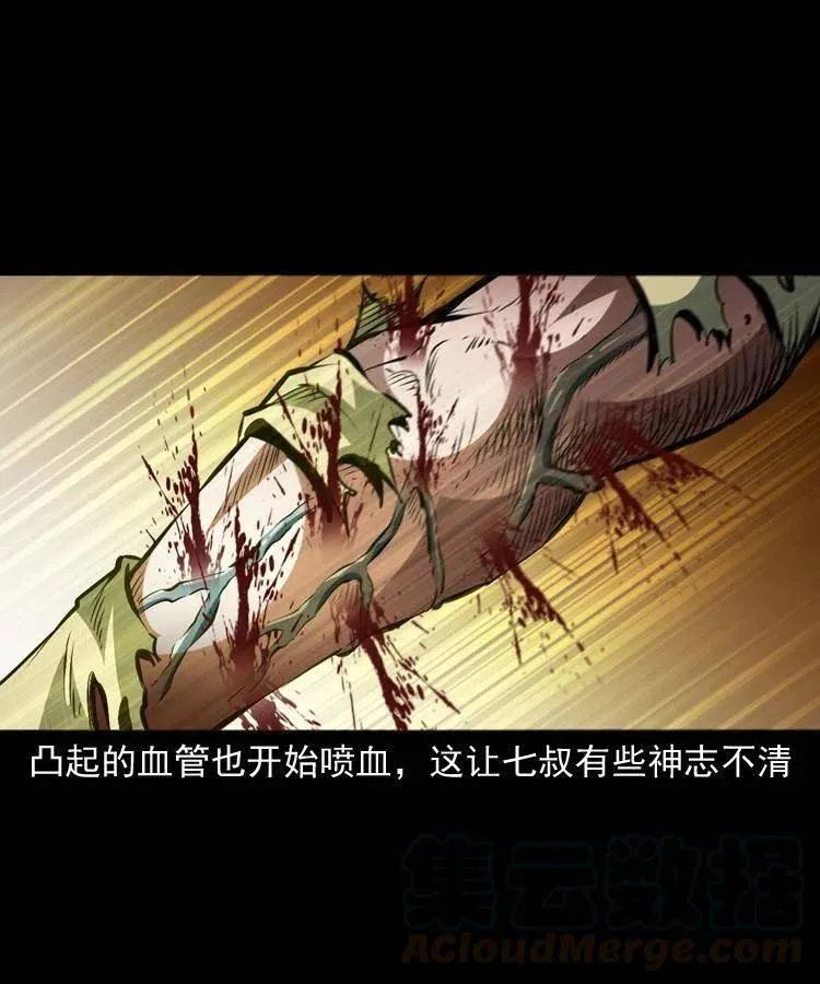 一百二十话 渡阴兵 第31页