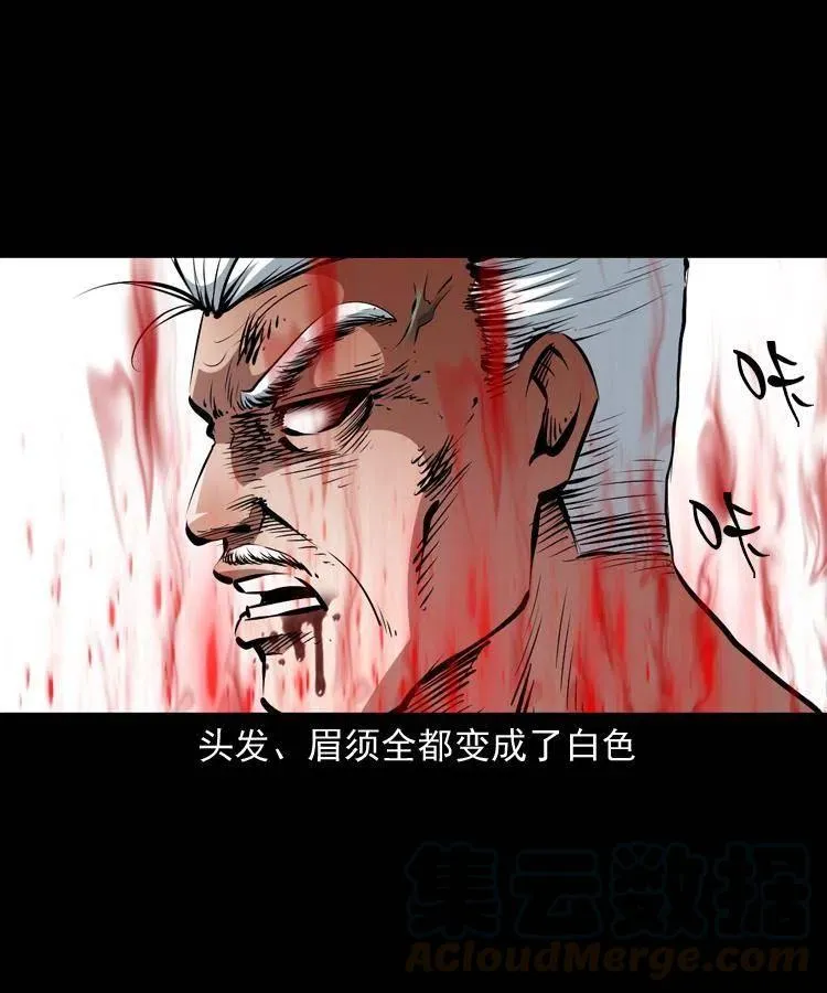 一百二十话 渡阴兵 第46页