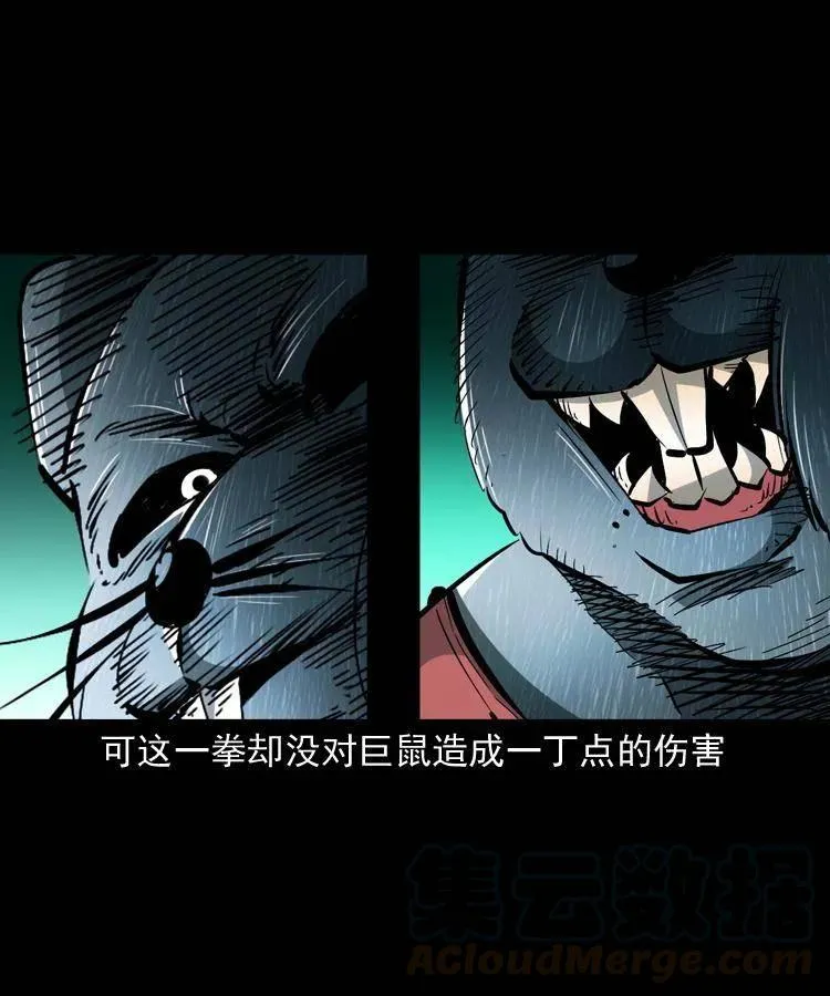 一百二十七话 火烧老鼠城 第16页