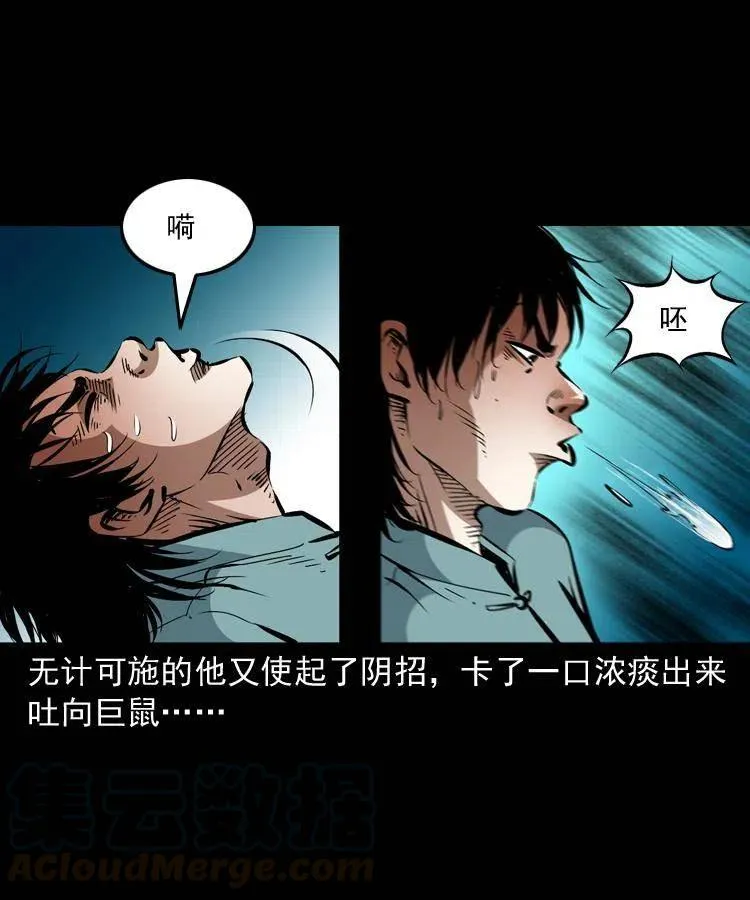一百二十七话 火烧老鼠城 第22页