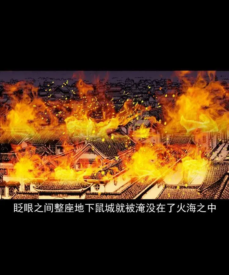 一百二十七话 火烧老鼠城 第45页
