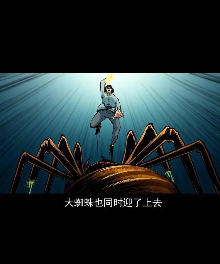 一百三十话 大破蜘蛛怪 第30页