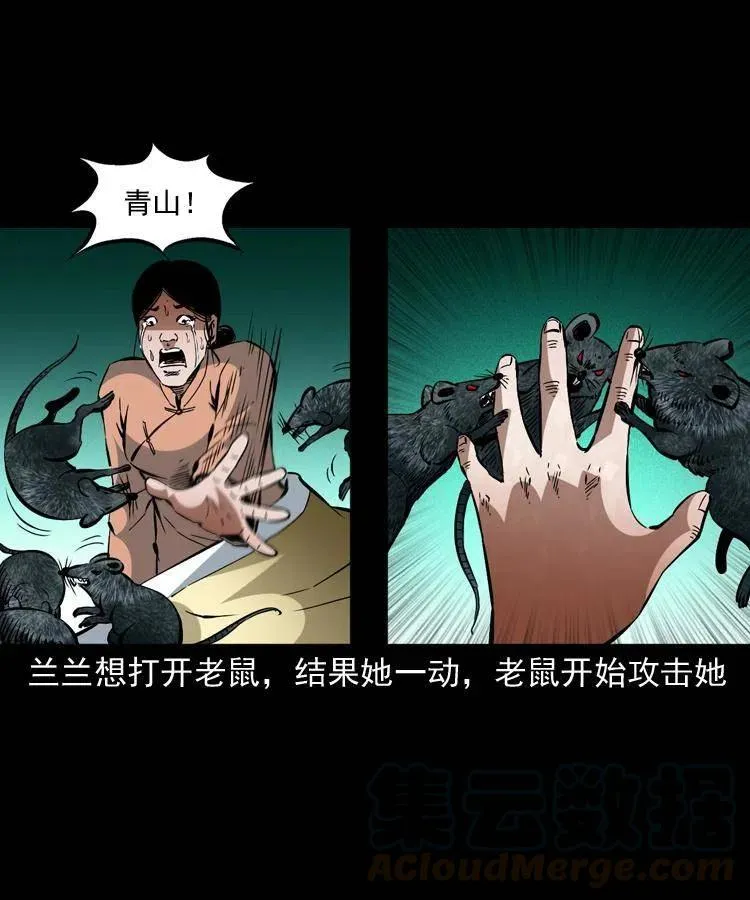 一百三十一话 捕鼠高手 第31页