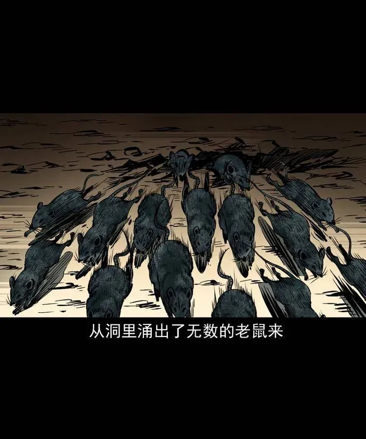 一百三十二话 深入鼠穴 第24页