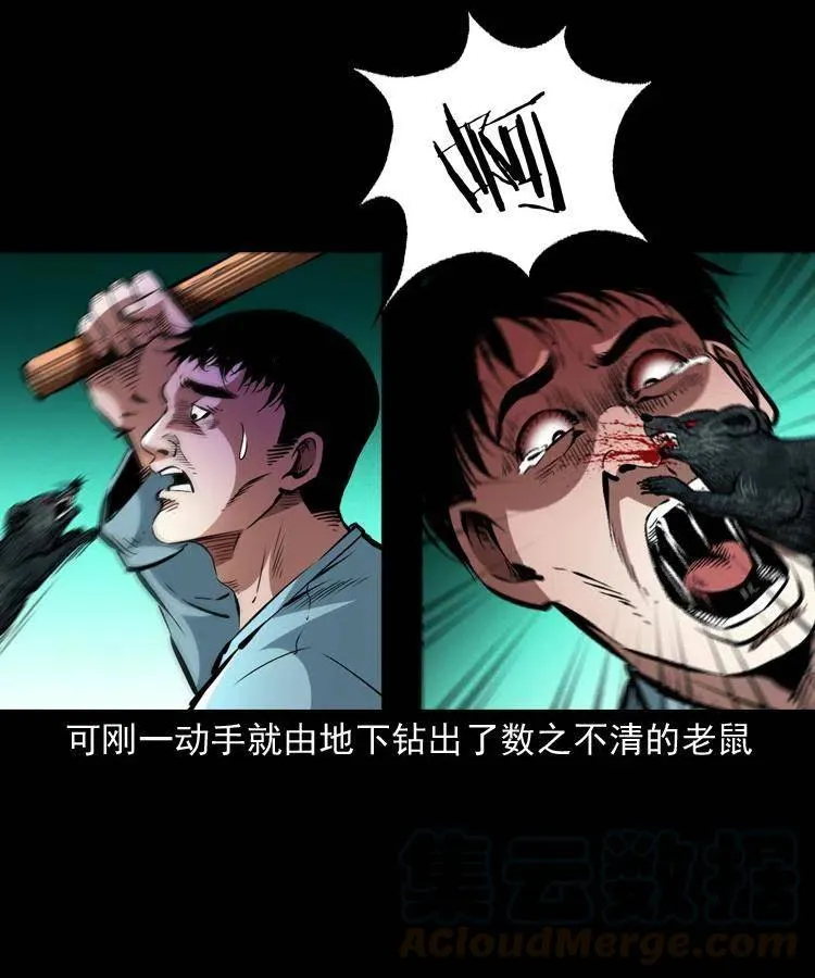 一百三十二话 深入鼠穴 第52页