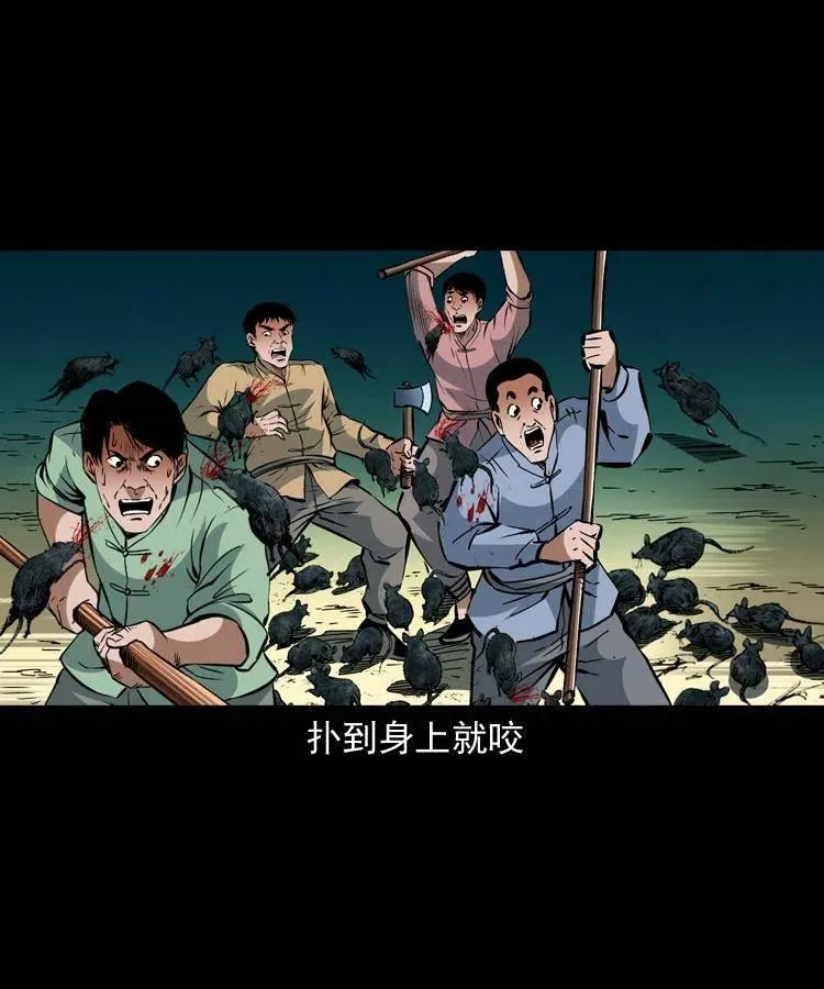 一百三十二话 深入鼠穴 第53页