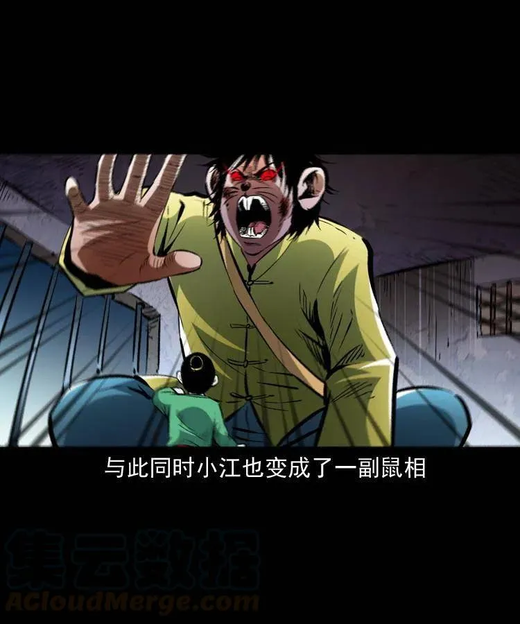 一百三十三话 鼠化的小江 第25页