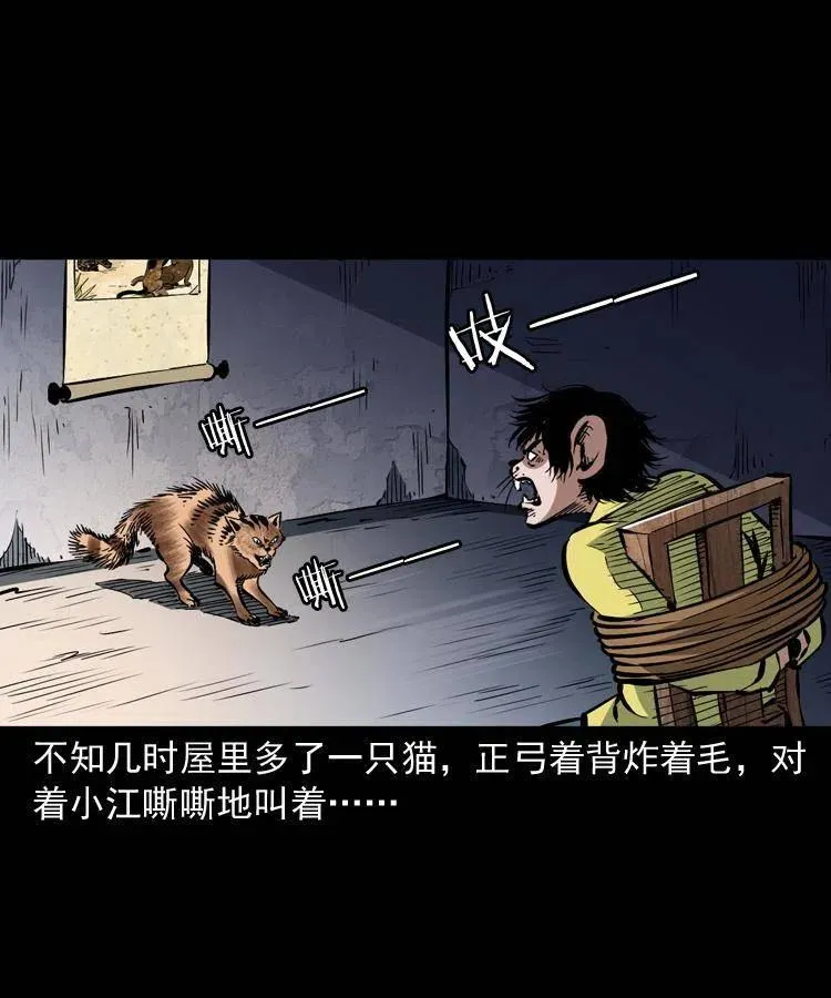 一百三十四话 百猫图 第42页