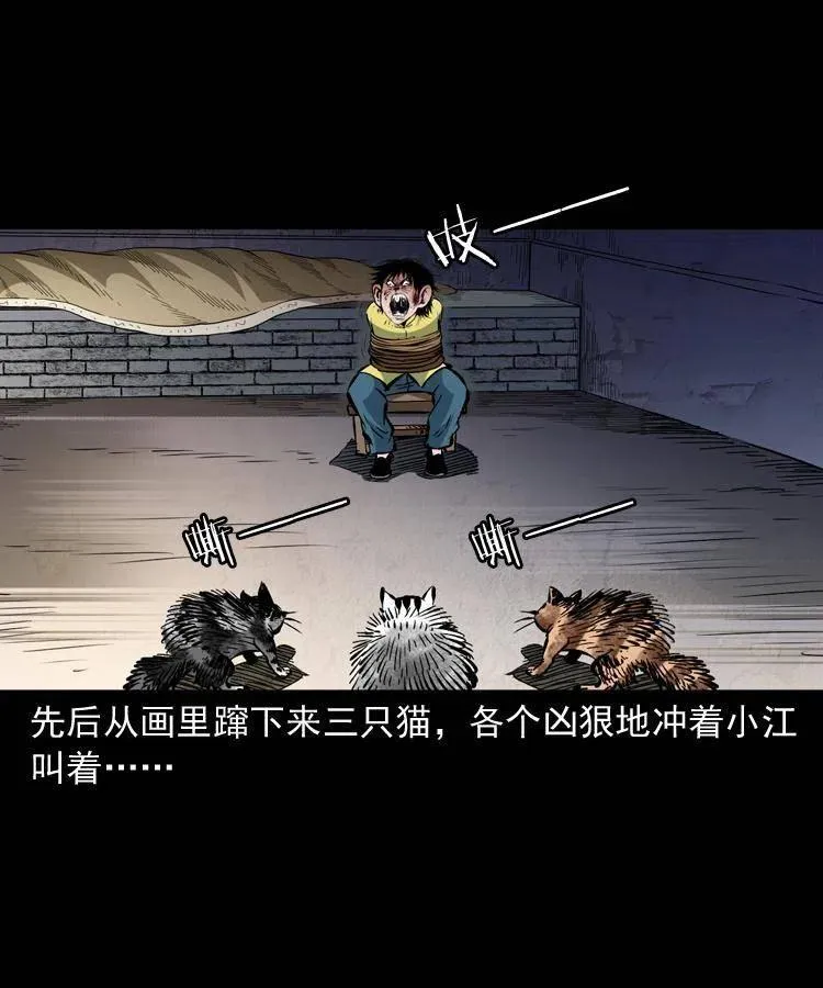 一百三十四话 百猫图 第44页