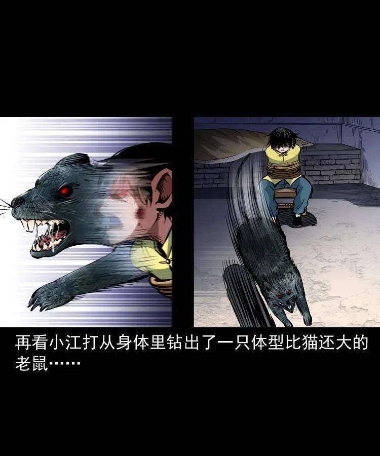一百三十四话 百猫图 第45页