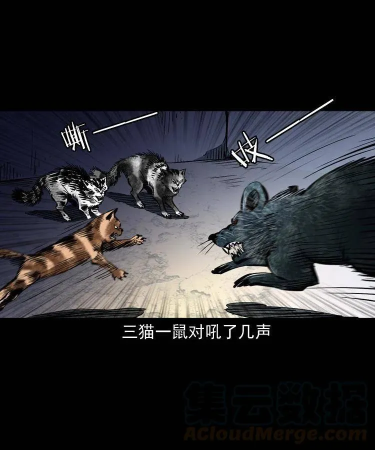 一百三十四话 百猫图 第46页