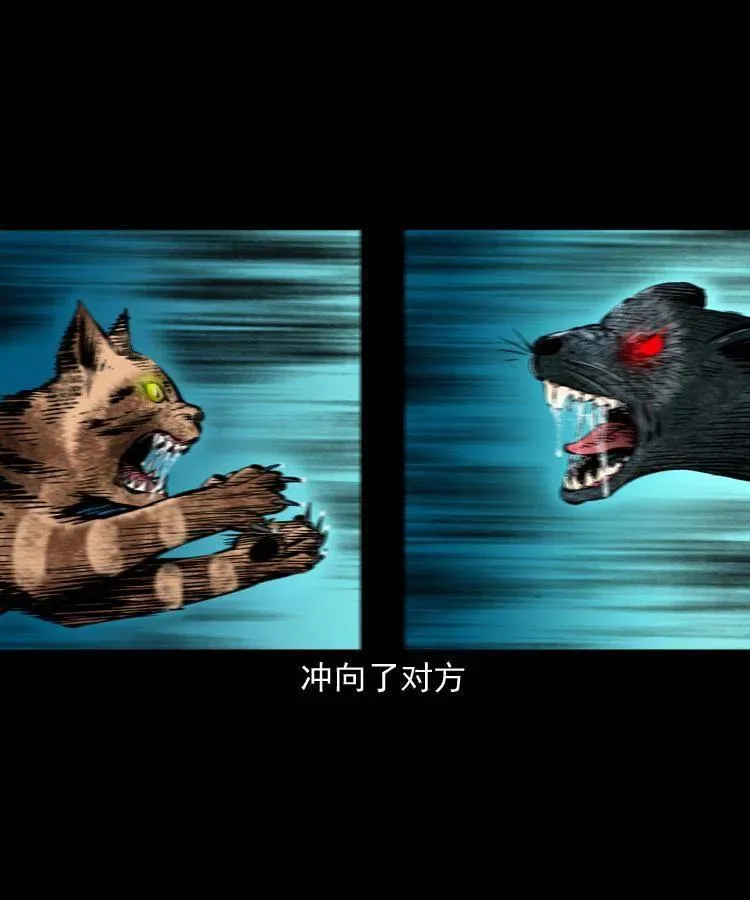 一百三十四话 百猫图 第47页