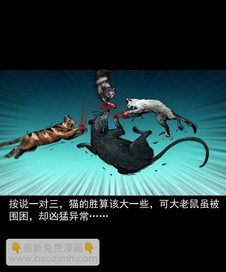 一百三十四话 百猫图 第48页