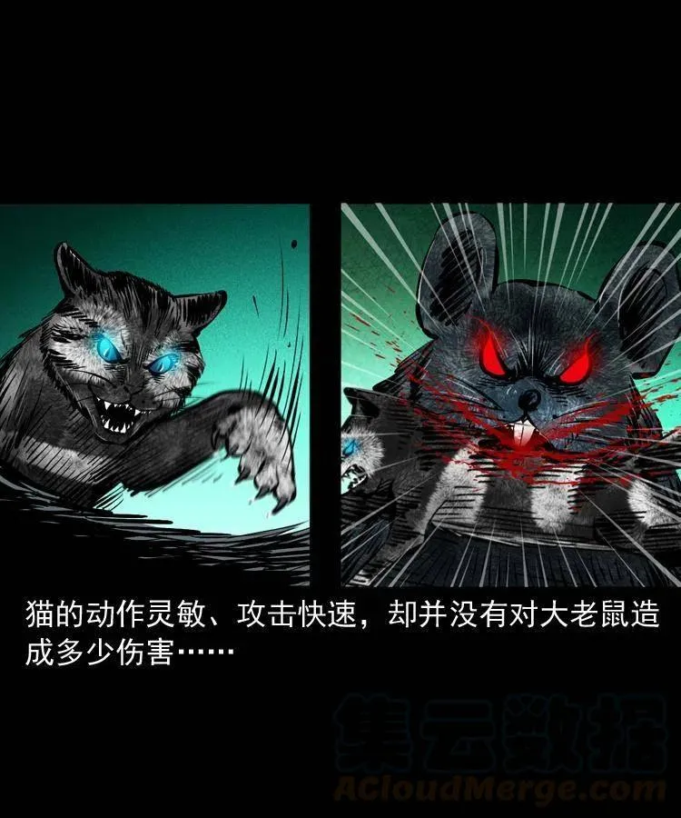 一百三十四话 百猫图 第49页