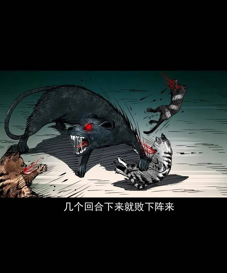 一百三十四话 百猫图 第50页