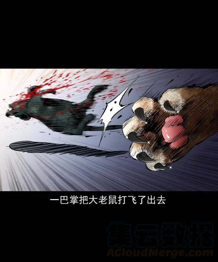 一百三十四话 百猫图 第52页
