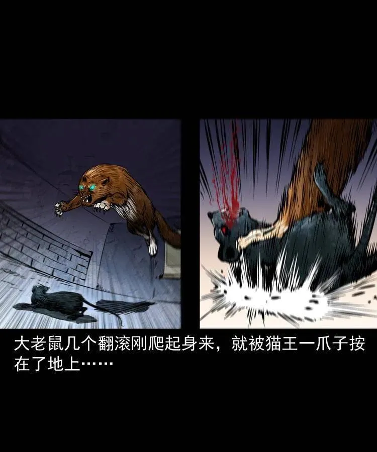 一百三十四话 百猫图 第53页