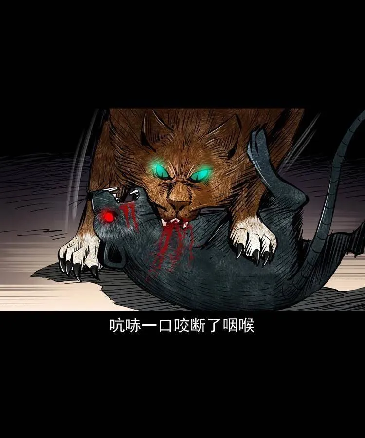 一百三十四话 百猫图 第54页