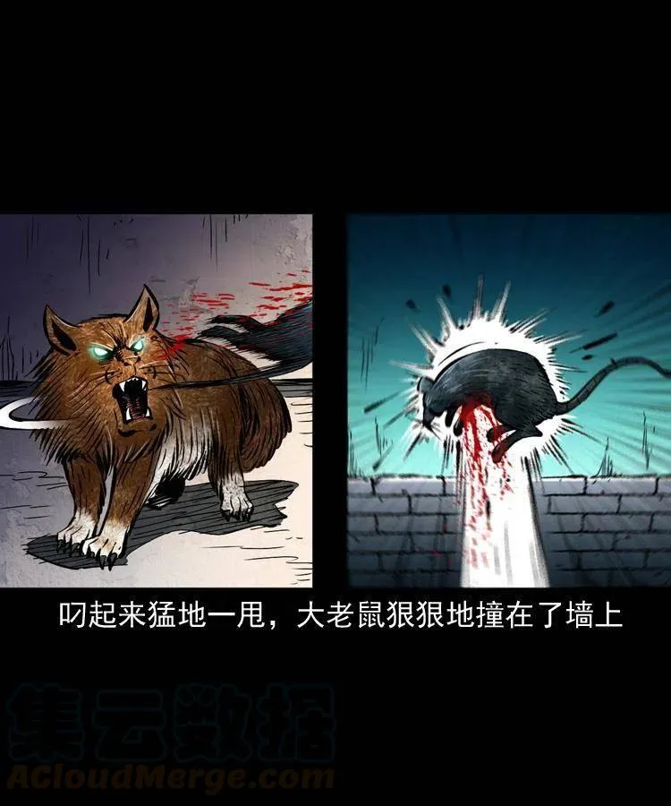 一百三十四话 百猫图 第55页